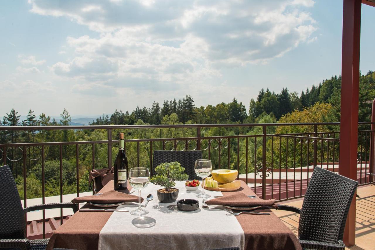 Hotel Villa Magus Kladnitsa Экстерьер фото